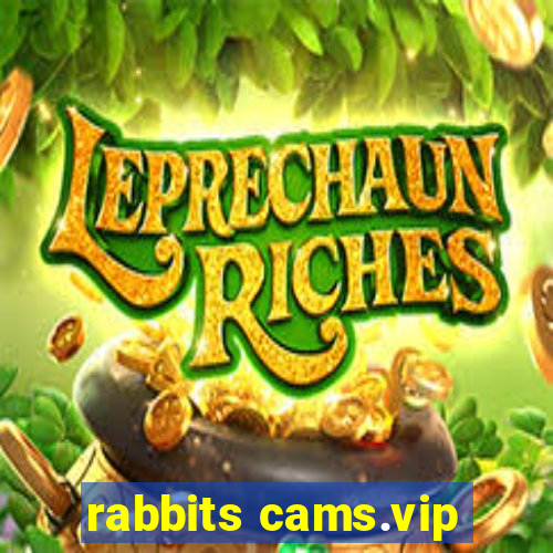 rabbits cams.vip